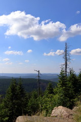 Obraz premium Harz National Park, summer landscape panorama near Mount Brocken, Germany.