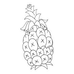 Pineapple cartoon illustration isolated on white background for children color book