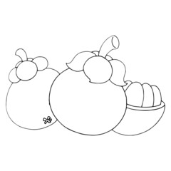 Mangosteen cartoon illustration isolated on white background for children color book