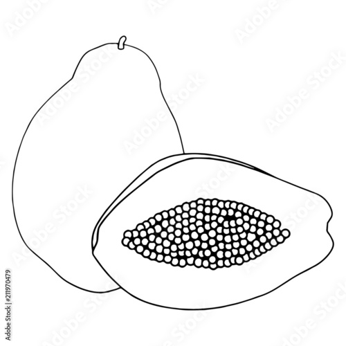 "Papaya cartoon illustration isolated on white background for children