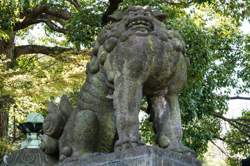 Fototapeta na wymiar Toshogu Shrine, Ueno Park, Tokyo
