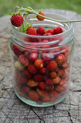 Ripe forest strawberries on rough wooden surface