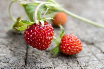 Ripe forest strawberries on rough wooden surface