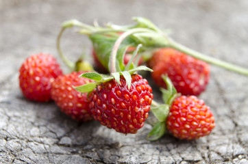 Ripe forest strawberries on rough wooden surface