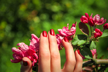 Female hand against the background of flowers. Ideal manicure.