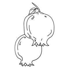 Pomegranate cartoon illustration isolated on white background for children color book