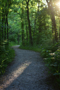 Afternoon Hike