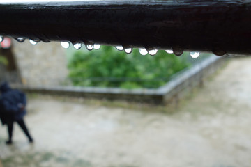 A rain drop outdoors in a non-urban scene day