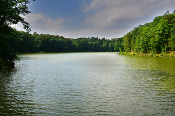 Fototapeta premium Summer lake surrounded by the forest. Czech.