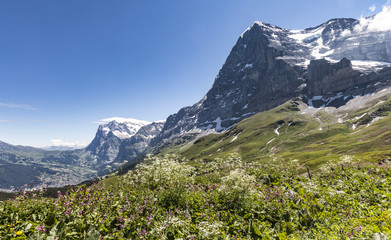 Fototapeta na wymiar spectacular view on Eiger north face, Grindelwald,Jungfrauregion, alps Switzerland