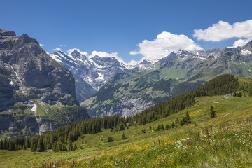 Fototapeta premium scenic view on the village of Wengen at the Lauberhorn downhill, Jungfrauregion,Berner Oberland,Switzerland