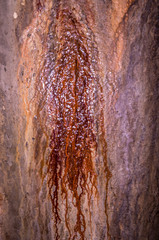 Rusty flow through the wall. Brown stains on the wall.