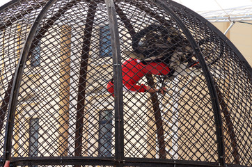 motorcycles go in a round cage.