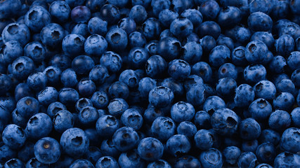 Fresh blueberry background. Texture blueberry berries close up.