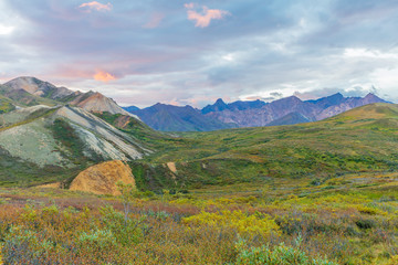 Scenic Denali National Park Alaska Landscape