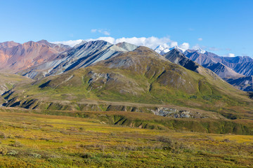 Fototapeta na wymiar Scenic Denali National Park Alaska Landscape