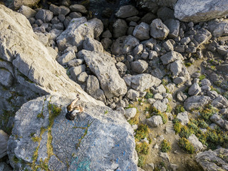 lonely man sitting on the mountain cliff and thinking about life