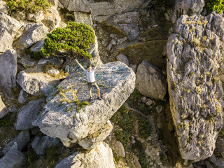 aerial shot happy teenager with raised hands standing on the mountain edge during sunrise summer season