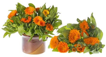 Marigold - Calendula flower isolated on a white background