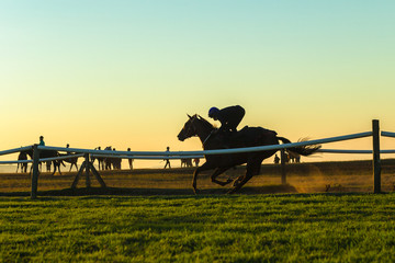 Race Horse Rider Training Track Landscape Morning 