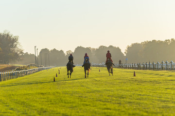 Race Horse Rider Training Track Landscape Morning 