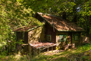 Abandoned Cottage in the Woods