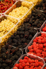 Colourful mix of different fresh berries at market