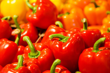 Colourful mix of different red, orange, yellow fresh bell pepper at market