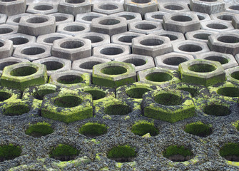 concrete defensive sea wall showing seaweed on the high tide mark and the precast hexagonal construction
