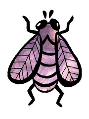 Hand drawn beetle illustration watercolor spring