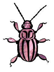 Hand drawn beetle illustration watercolor spring