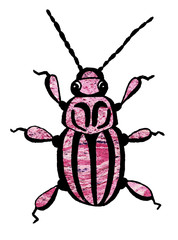 Hand drawn beetle illustration watercolor spring