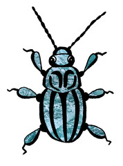 Hand drawn beetle illustration watercolor spring