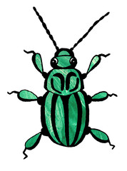 Hand drawn beetle illustration watercolor spring