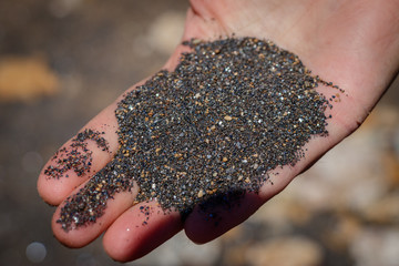 A hand full of black mineral sand from the beach on the island of Elba in the Tuscany, Italy. The...