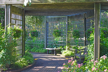 Botanic Garden Patio