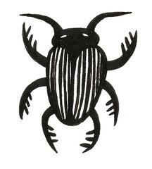 Hand drawn beetle watercolor illustration spring