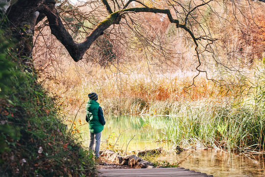Boy stay  under big tree near the pond in autumn park