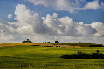 Fields and drifting clouds summer