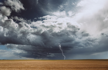 thunderstorm hurricane clouds field agricultural crops wheat