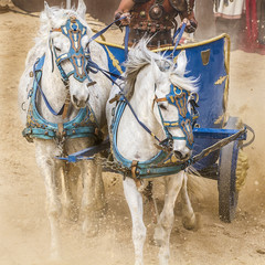Combat, Roman chariot in a fight of gladiators, bloody circus