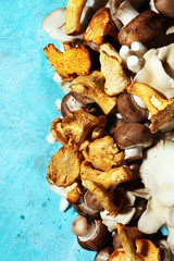 variety of raw mushrooms on table with oyster mushrooms and champignons.