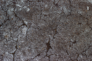 Grey Asphalt with cracks 