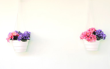 Flower background