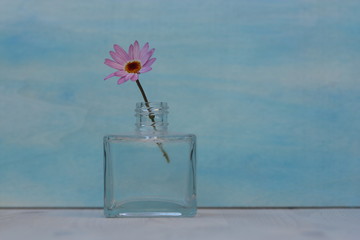 Fototapeta na wymiar Little pink flower in a small glass bottle.