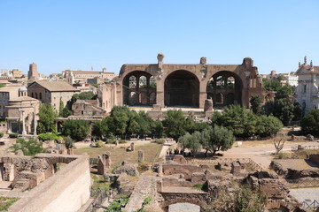 Fototapeta premium Roman Forum in Rome is the oldest Roman forum, Rome Italy