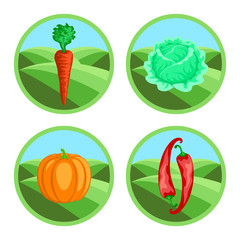 Icons of vegetables in color