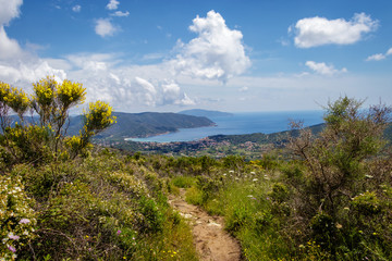 Elba's western coastline stretches out for about 35 km. From Portoferraio to Marciana Marina.  Beautiful cliffs above the sea, with a look out over the sea and around the horizon.