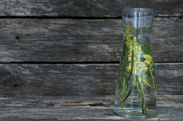 Antirrhinum flower essential oil on wooden background. Herbal medicine. Naturopathy.