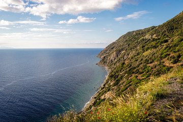 Elba's western coastline stretches out for about 35 km. From Portoferraio to Marciana Marina.  Beautiful cliffs above the sea, with a look out over the sea and around the horizon.